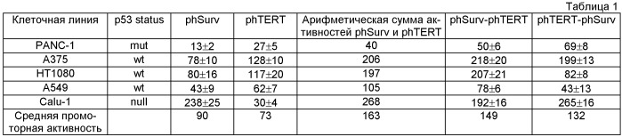 Многопрофильный промотор, экспрессирующий вектор и способ избирательного убийства раковых клеток с их использованием (патент 2476596)