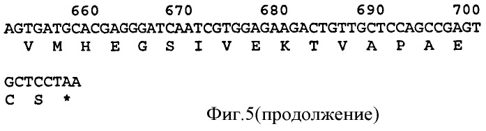 Изолированное антитело или его антигенсвязывающий фрагмент, специфическое(ий) для человеческого иммуноглобулина е (варианты), кодирующая его молекула нуклеиновой кислоты, клетка-хозяин, способ получения антитела или его антигенсвязывающего фрагмента, фармацевтическая композиция, применение ее для лечения расстройств, ассоциированных с ige (патент 2466140)