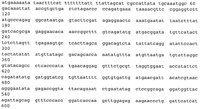 Мутантный термолабильный энтеротоксин e.coli (патент 2441879)