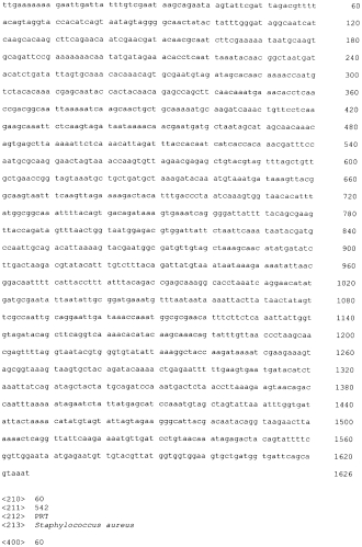 Стабильные иммуногенные композиции антигенов staphylococcus aureus (патент 2570730)