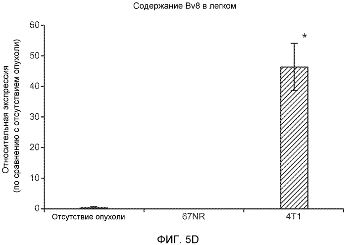 Ингибирование метастазирования опухоли при помощи антагонистов bv8 или g-csf (патент 2567803)