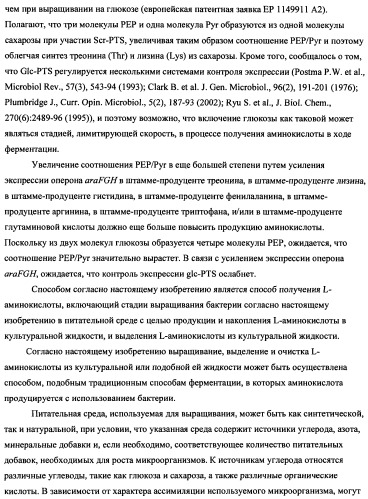 Способ получения l-треонина с использованием бактерии, принадлежащей к роду escherichia (патент 2338783)