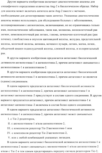 Стабилизированные антитела против ангиопоэтина-2 и их применение (патент 2509085)