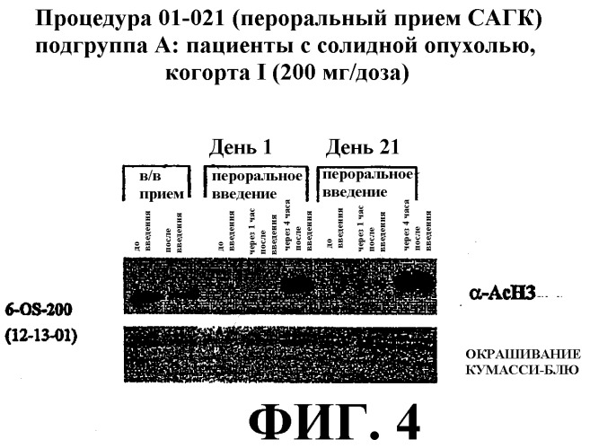Способы индукции конечной дифференцировки (патент 2394022)