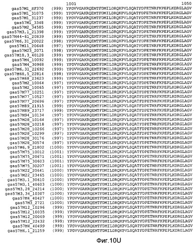 Мутантные антигены gas57 и антитела против gas57 (патент 2471497)