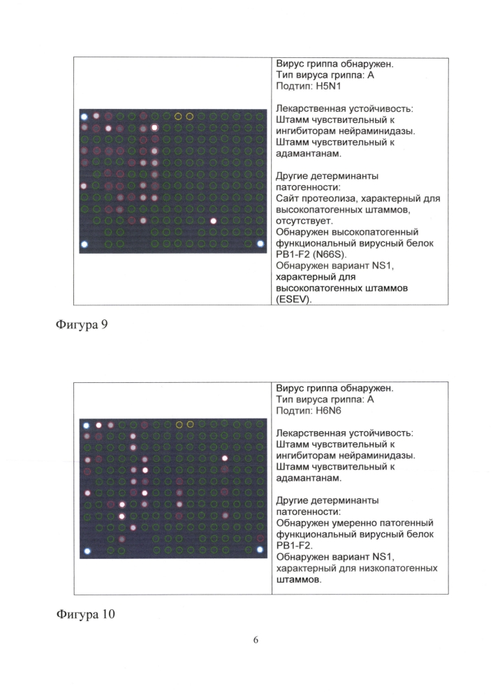 Способ идентификации рнк вирусов гриппа а и в с одновременным определением вариантов гемагглютинина и нейраминидазы вируса гриппа а, идентификацией генетических маркеров патогенности и устойчивости к противогриппозным препаратам на биологических микрочипах, биочип, набор олигонуклеотидных зондов, используемые в способе (патент 2603000)