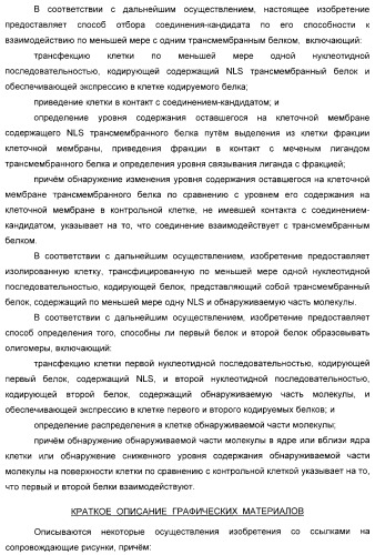 Способ идентификации соединений, взаимодействующих с трансмембранными белками (патент 2326166)