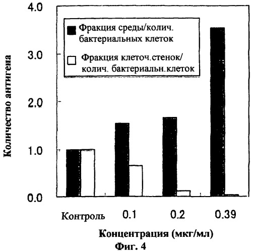 Ген синтеза клеточной стенки грибков (патент 2286387)