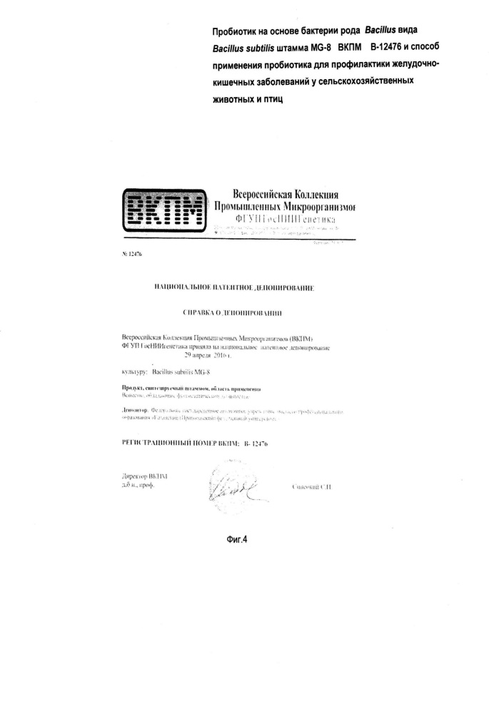 Пробиотик на основе штамма бактерий bacillus subtilis mg-8 вкпм в-12476 и способ применения пробиотика для профилактики желудочно- кишечных заболеваний у сельскохозяйственных животных и птиц (патент 2663720)