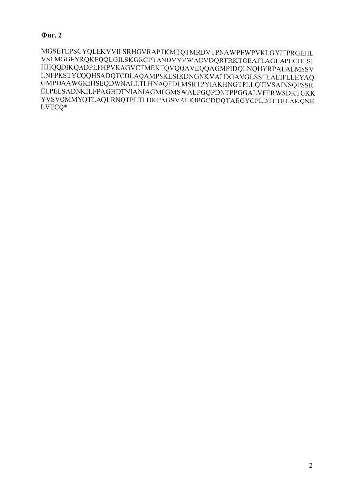 Рекомбинантный штамм yarrowia lipolytica - продуцент инкапсулированной фитазы obesumbacterium proteus (патент 2664476)