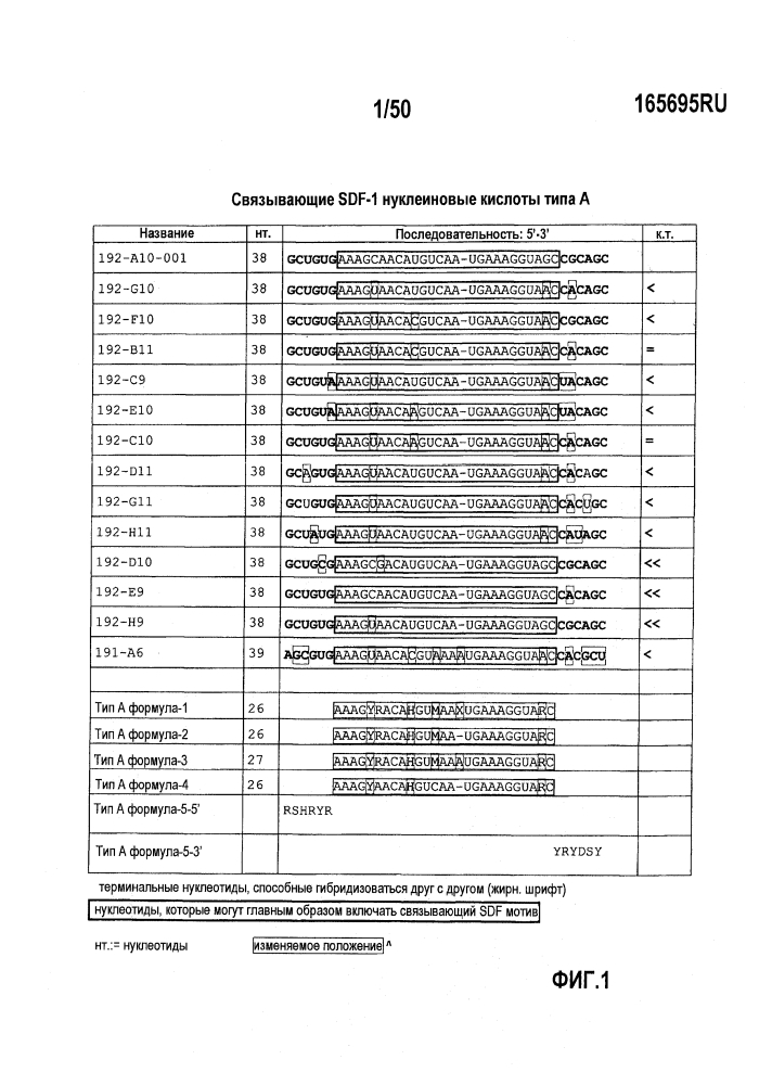 Связывающие sdf-1 нуклеиновые кислоты и их применение (патент 2612388)