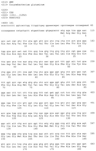 Гены corynebacterium glutamicum, кодирующие белки резистентности и толерантности к стрессам (патент 2303635)
