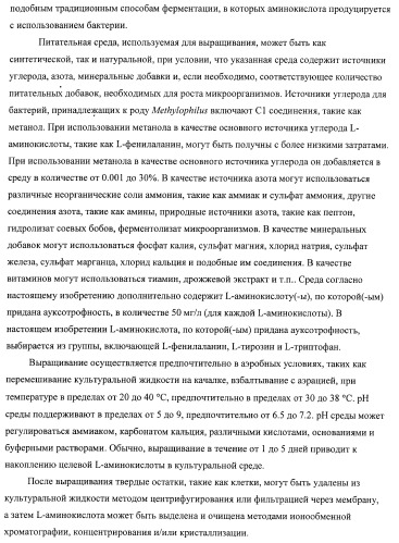 Способ придания бактерии, принадлежащей к роду methylophilus, ауксотрофности по l-аминокислоте, бактерия, принадлежащая к роду methylophilus, и способ продукции l-аминокислоты (патент 2395569)