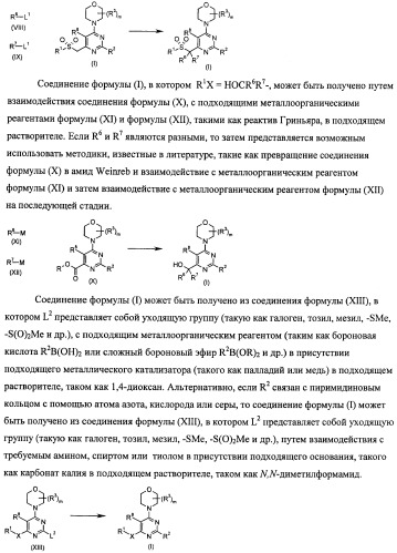 Производные морфолинопиримидина, полезные для лечения пролиферативных нарушений (патент 2440349)