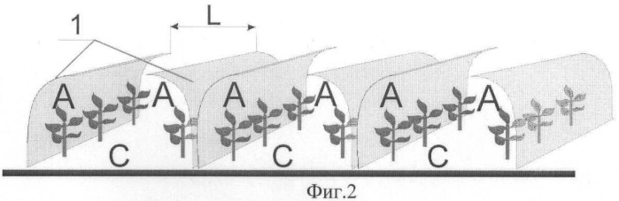 Способ создания условий для выращивания теплолюбивых овощных культур в условиях открытого грунта и устройство для его реализации (патент 2479986)