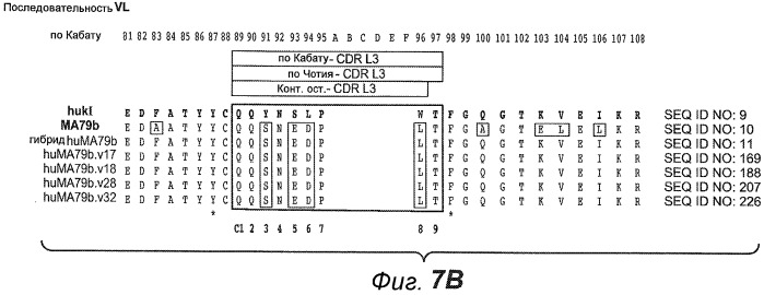 Анти-cd79b антитела и иммуноконъюгаты и способы их применения (патент 2511410)