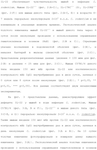 Применение противомикробного полипептида для лечения микробных нарушений (патент 2503460)