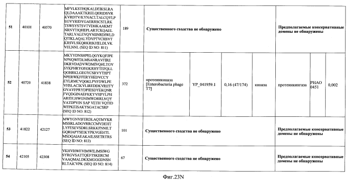 Бактериофаг, обладающий активностью против pseudomonas aeruginosa, белки бактериофага и способы их применения (патент 2580248)
