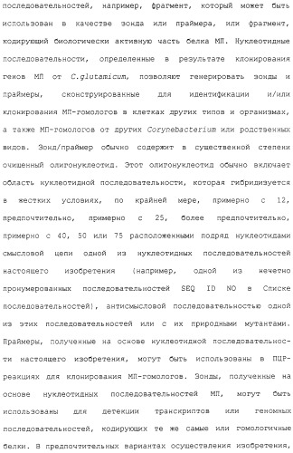 Гены corynebacterium glutamicum, кодирующие белки метаболических путей (патент 2306339)