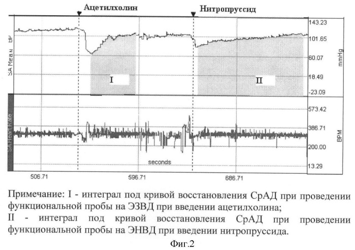 Способ оценки эндотелиальной дисфункции при экспериментальном реактивном васкулите (патент 2405413)