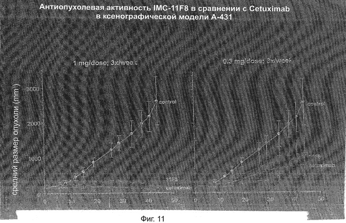 Человеческие антитела к рецептору эпидермального фактора роста (патент 2402569)