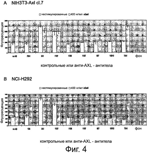 Axl-антитела (патент 2506276)