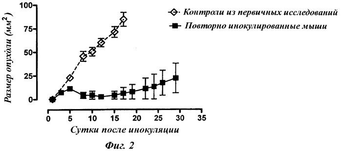 Нонапептид с противоопухолевой активностью (патент 2503685)