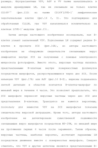 Включение адъюванта в иммунонанотерапевтические средства (патент 2496517)