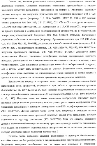 Получение поликетидов и других природных продуктов (патент 2430922)