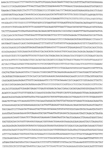 Применение s1p (патент 2362565)