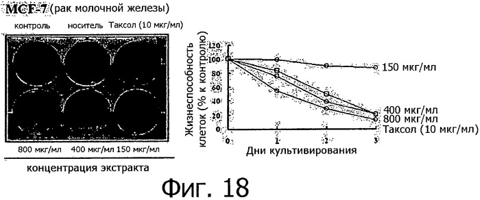 Противораковая композиция, включающая линию клеток, полученную из камбия и прокамбия стебля тисса (taxus) (патент 2440820)