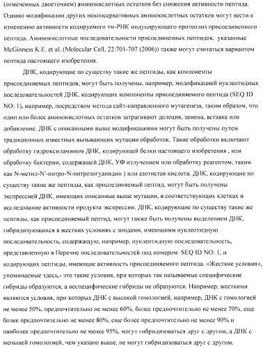 Способ получения аминокислот с использованием бактерии, принадлежащей к роду escherichia (патент 2396336)