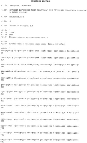 Красный флуоресцентный биосенсор для детекции пероксида водорода в живых клетках (патент 2535336)