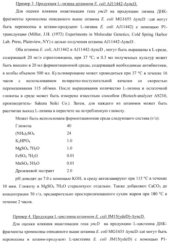 Способ получения l-треонина с использованием бактерии, принадлежащей к роду escherichia, в которой инактивирован ген yncd (патент 2396337)