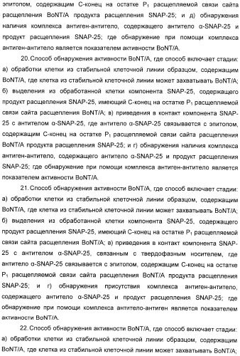 Иммунологические анализы активности ботулинического токсина серотипа а (патент 2491293)