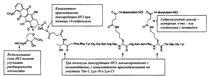Конъюгаты этопозида и доксорубицина для доставки лекарственных средств (патент 2531591)