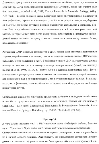 Молекулы нуклеиновых кислот, кодирующие wrinkled1-подобные полипептиды, и способы их применения в растениях (патент 2385347)