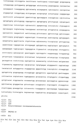 Psma×cd3 биспецифическое одноцепочечное антитело с межвидовой специфичностью (патент 2559531)