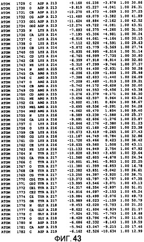 Способ модифицирования трансглутаминаз микроорганизмов (патент 2260051)