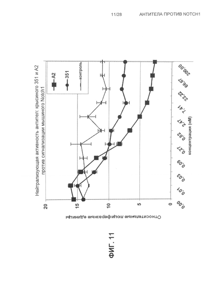 Антитела против notch1 (патент 2622083)