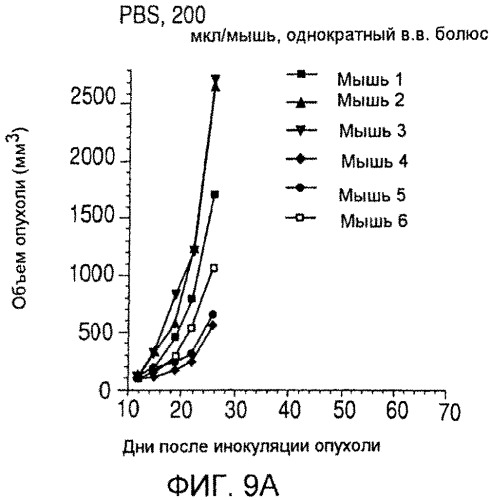 Иммуноконъюгаты, направленные на cd138, и их применение (патент 2547939)