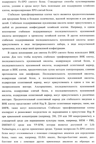 Fc-эритропоэтин слитый белок с улучшенной фармакокинетикой (патент 2370276)