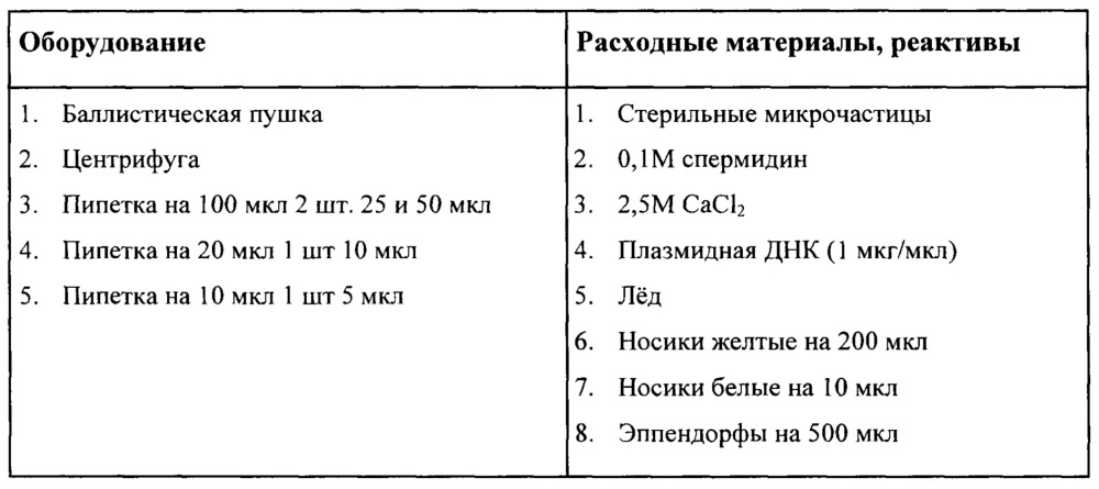 Способ получения трансгенных растений пшеницы с использованием биобаллистики (патент 2646108)