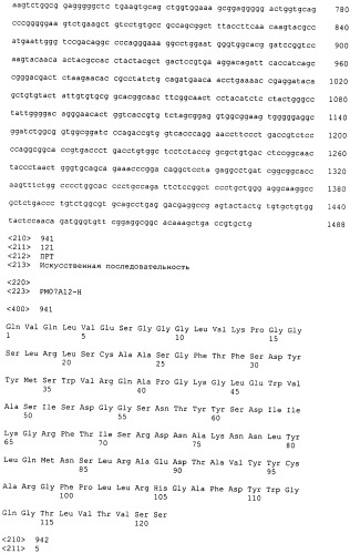 Psma×cd3 биспецифическое одноцепочечное антитело с межвидовой специфичностью (патент 2559531)