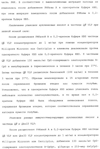 Композиции, содержащие cpg-олигонуклеотиды и вирусоподобные частицы, для применения в качестве адъювантов (патент 2322257)