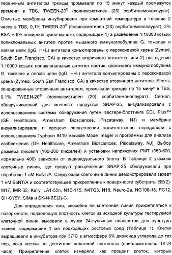 Иммунологические анализы активности ботулинического токсина серотипа а (патент 2491293)