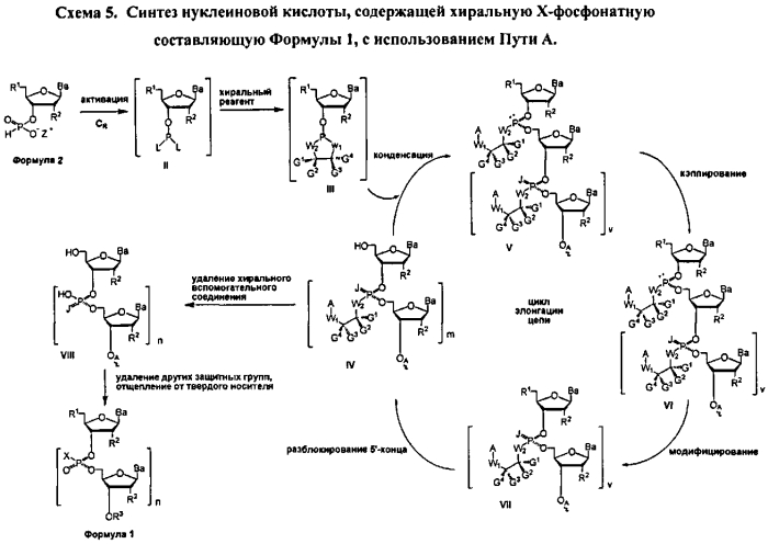 Способ синтеза модифицированных по атому фосфора нуклеиновых кислот (патент 2572826)