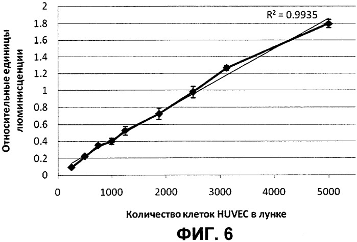 Наноантитело v9, связывающее vegf, и способ его получения, кодирующая v9 нуклеотидная последовательность и содержащий ее вектор, способ ингибирования пролиферации эндотелиальных клеток (патент 2395521)