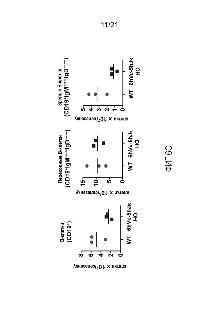 Мыши, у которых вырабатываются связывающие белки, содержащие vl-домены (патент 2612903)