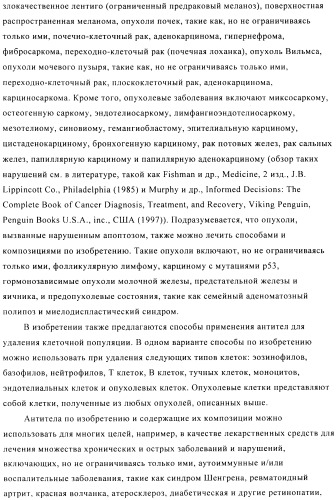 Стабилизированные антитела против ангиопоэтина-2 и их применение (патент 2509085)